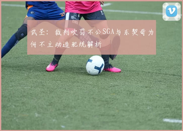 武圣：裁判吹罚不公SGA与东契奇为何不主动造犯规解析